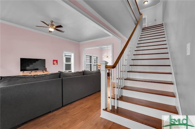 living room with ceiling fan, crown molding, and wood-type flooring