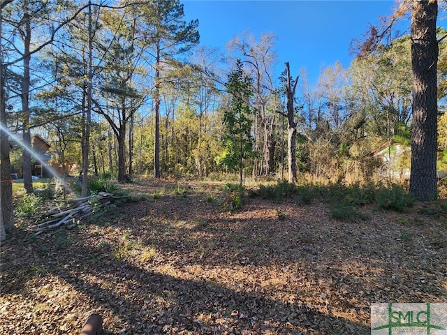 0 Elm St, Bloomingdale GA, 31302 land for sale