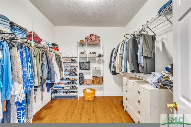 spacious closet featuring light hardwood / wood-style floors