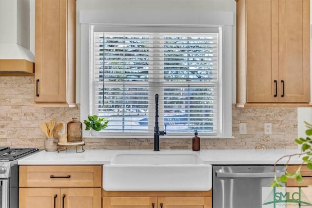 kitchen with stainless steel appliances, wall chimney exhaust hood, decorative backsplash, and sink