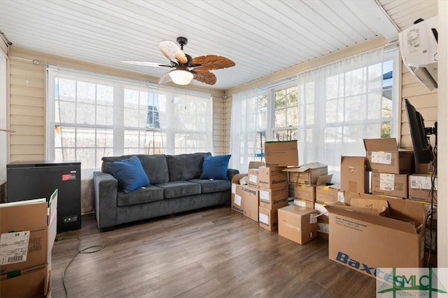 storage room with ceiling fan