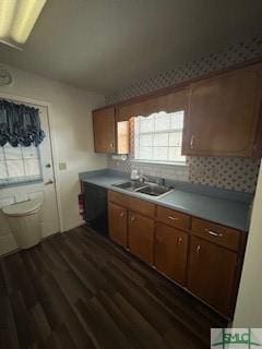 kitchen featuring tasteful backsplash, sink, dark wood-type flooring, and black dishwasher