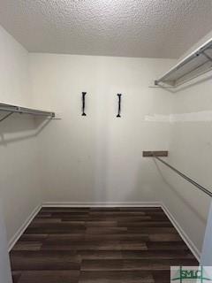 walk in closet featuring dark hardwood / wood-style flooring