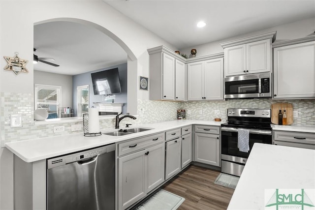 kitchen featuring appliances with stainless steel finishes, gray cabinetry, ceiling fan, sink, and dark hardwood / wood-style floors