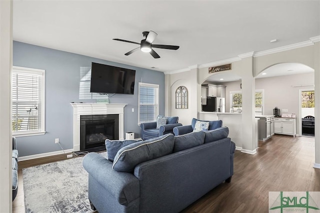 living room featuring dark hardwood / wood-style flooring, plenty of natural light, ceiling fan, and ornamental molding