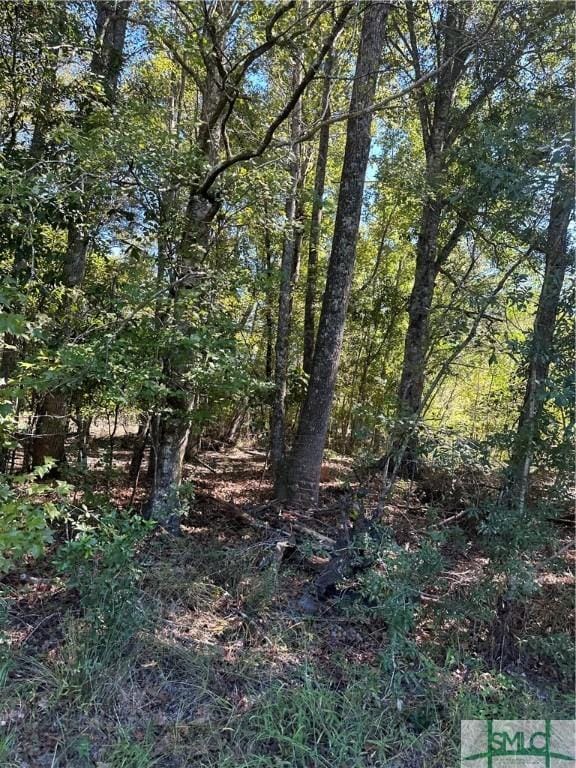 1705 Shawnee Egypt Rd, Springfield GA, 31329 land for sale