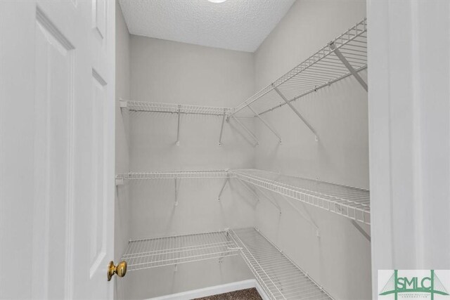 52 Sedgefield Ct, Richmond Hill, GA 31324 - view of spacious closet