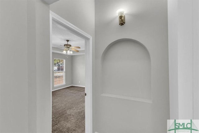 52 Sedgefield Ct, Richmond Hill, GA 31324 - hallway featuring carpet flooring and a raised ceiling