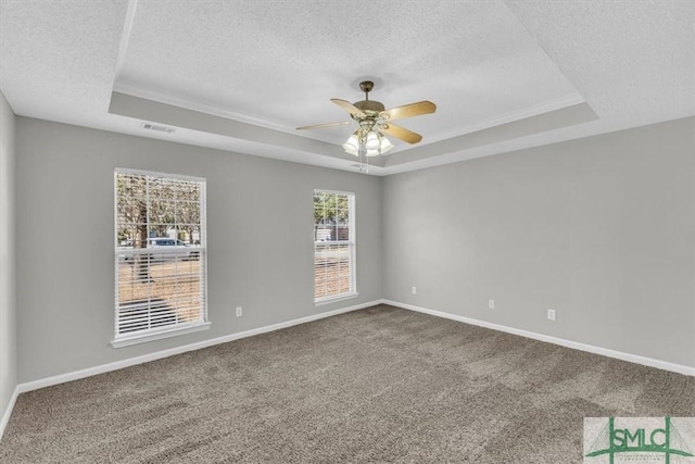 spare room featuring carpet, a textured ceiling, and a raised ceiling