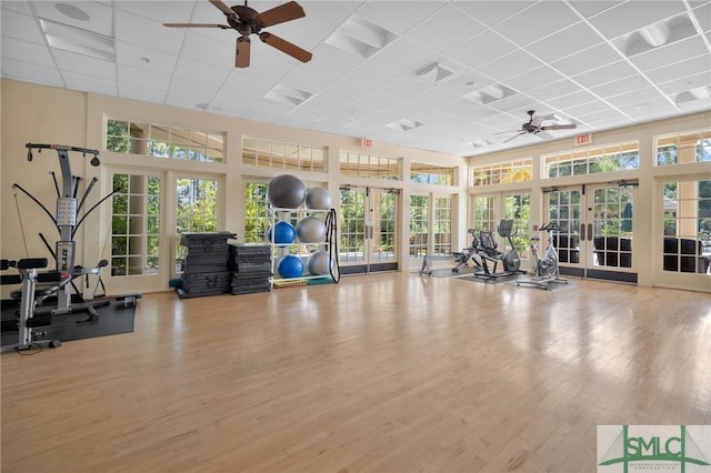 exercise room featuring light hardwood / wood-style flooring, a paneled ceiling, ceiling fan, french doors, and a high ceiling