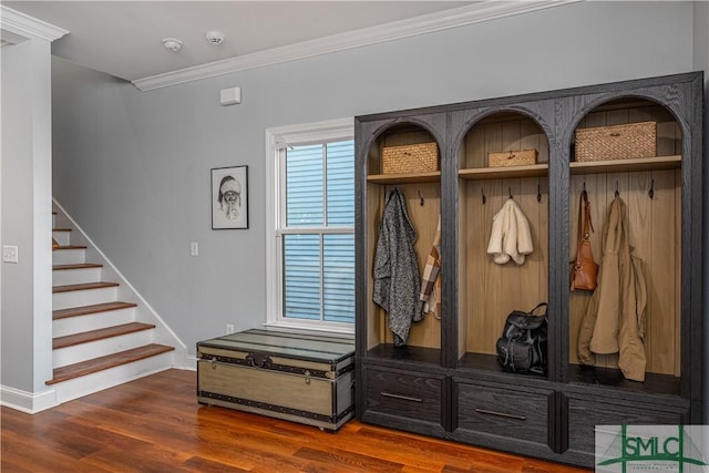 mudroom featuring dark wood-type flooring and crown molding