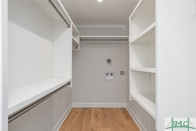 walk in closet with light wood-type flooring