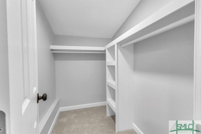 walk in closet featuring light carpet