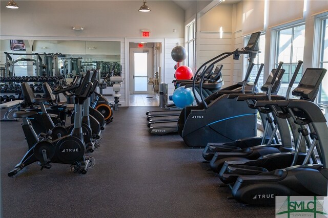 workout area featuring lofted ceiling