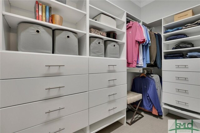 walk in closet with carpet flooring