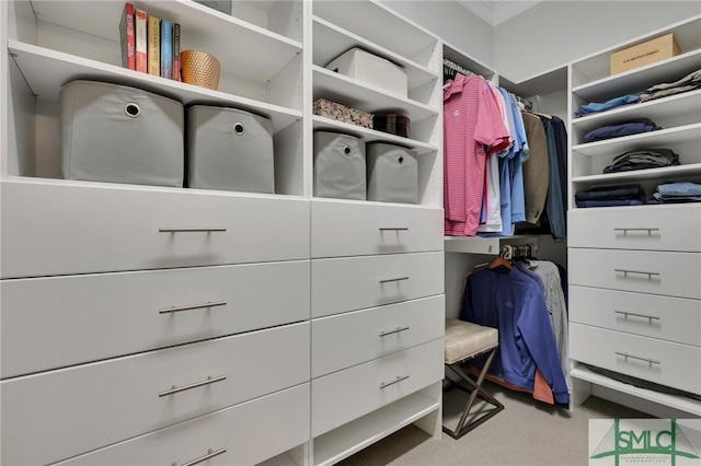 view of walk in closet