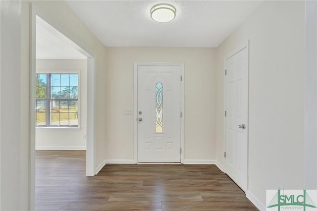 foyer with dark hardwood / wood-style flooring