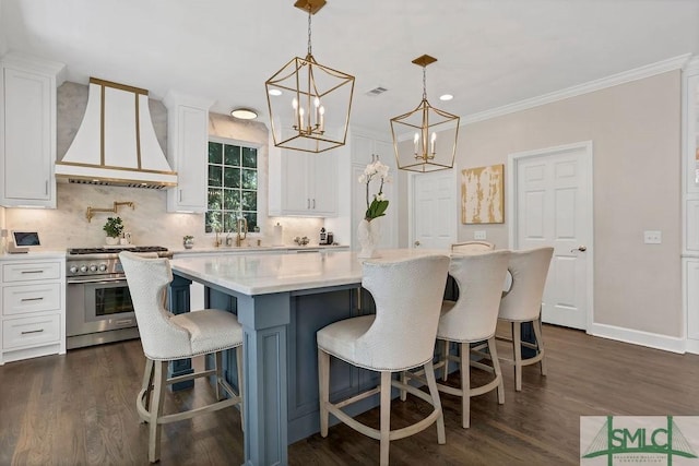 kitchen with premium range hood, white cabinets, and high end stainless steel range oven