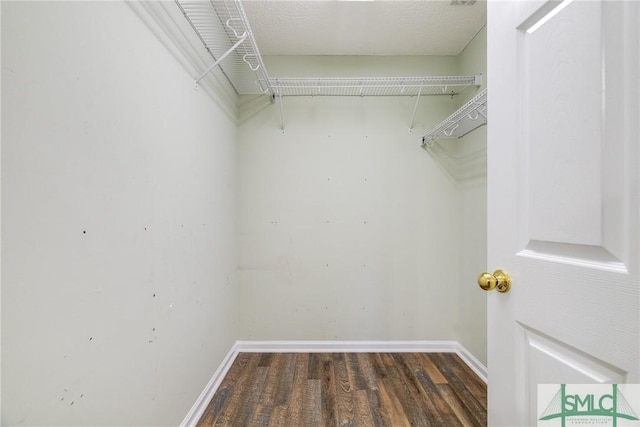 spacious closet featuring dark hardwood / wood-style floors