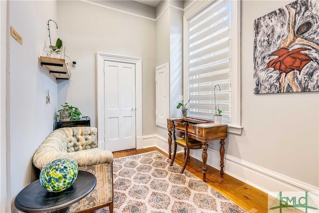 sitting room with light hardwood / wood-style flooring