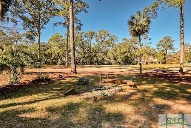 21 Rookery Rd, Savannah, GA 31411 - photo 46