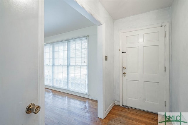 entryway with hardwood / wood-style floors