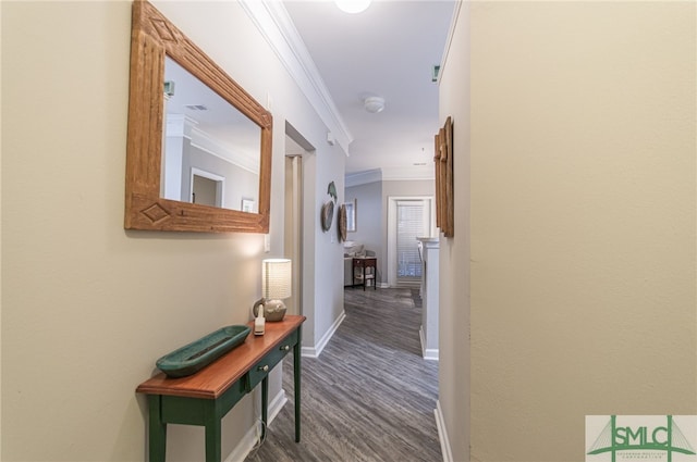 hall featuring dark hardwood / wood-style floors and crown molding