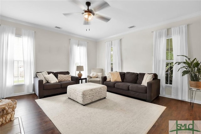 living room with a healthy amount of sunlight, dark hardwood / wood-style floors, and ornamental molding