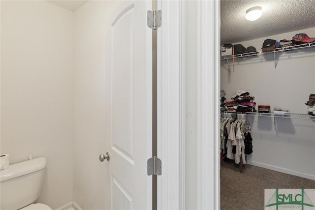 spacious closet with carpet floors