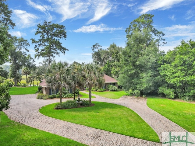 view of property's community with a lawn