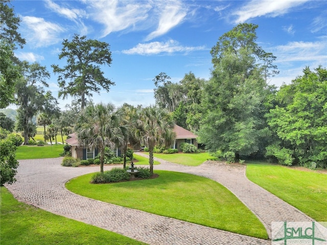 view of property's community with a lawn