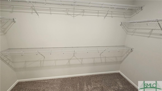 walk in closet with carpet flooring