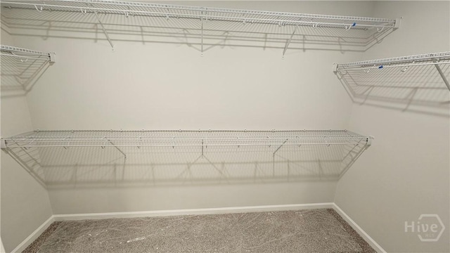 83 Marsh Salt Ln, Port Wentworth, GA 31407 - spacious closet featuring carpet floors