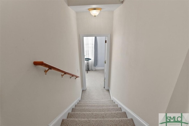 staircase with carpet floors