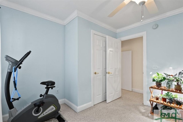 workout room featuring ceiling fan and crown molding