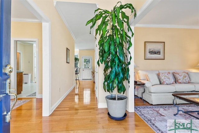 interior space featuring light hardwood / wood-style floors and crown molding