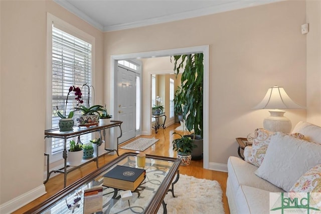 interior space featuring crown molding and light hardwood / wood-style floors