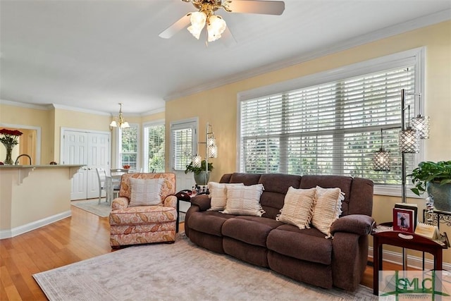 living room with ceiling fan with notable chandelier, crown molding, and light hardwood / wood-style flooring