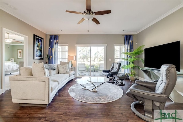 living room featuring dark hardwood / wood-style floors, crown molding, and a wealth of natural light