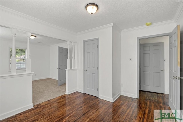 spare room with crown molding, a textured ceiling, and dark wood-type flooring