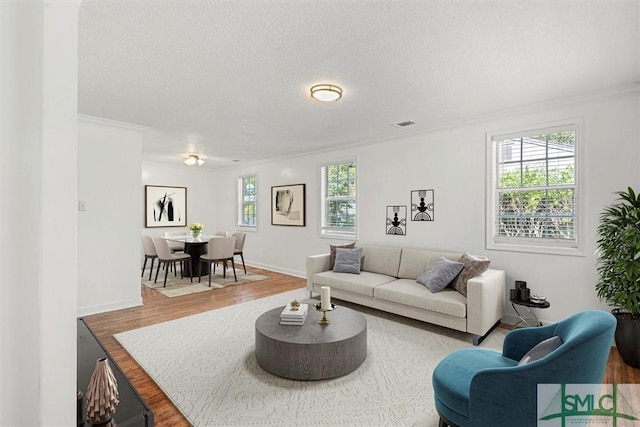 living room featuring crown molding, wood-type flooring, and a textured ceiling