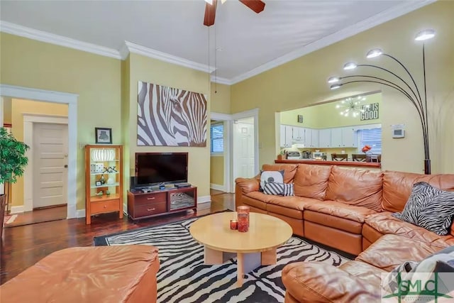 living room featuring dark hardwood / wood-style flooring, ceiling fan with notable chandelier, and ornamental molding