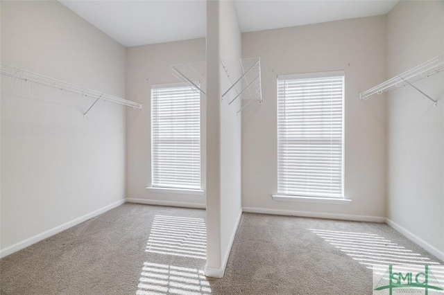 walk in closet with light carpet