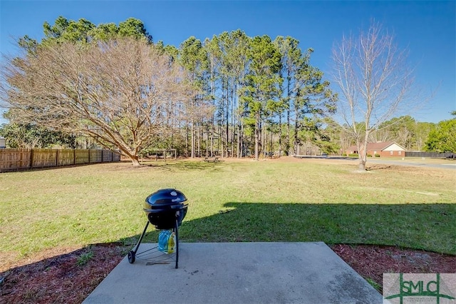 view of yard with a patio area