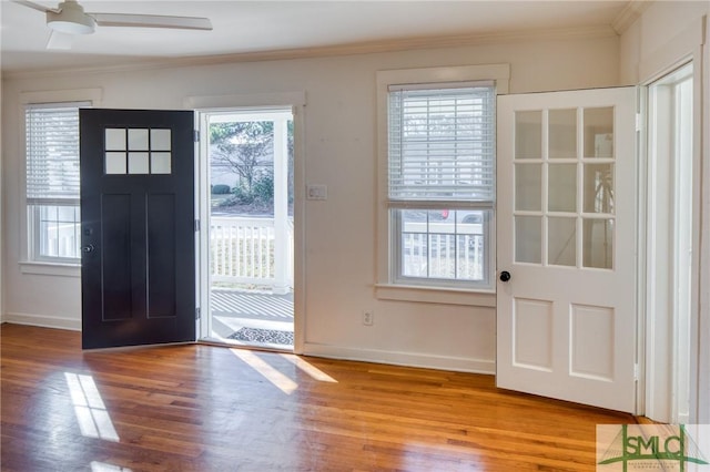 foyer entrance with crown molding, plenty of natural light, ceiling fan, and wood-type flooring