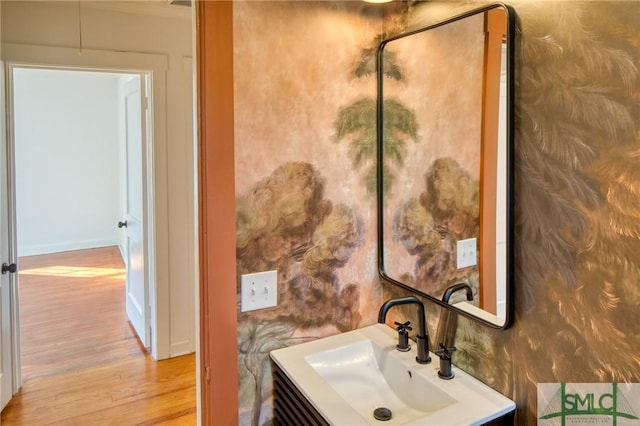 bathroom featuring hardwood / wood-style floors and vanity