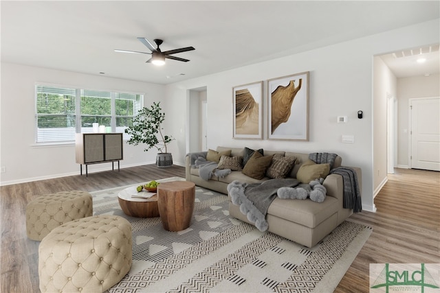 living room with light wood-type flooring and ceiling fan