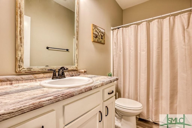 bathroom with toilet, wood-type flooring, and vanity