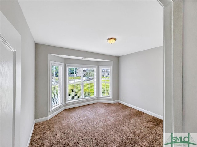 spare room featuring carpet flooring