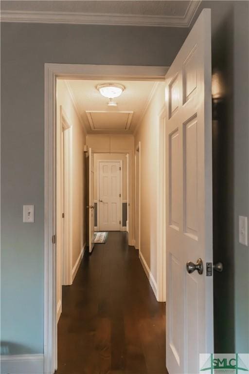 hallway featuring dark wood-type flooring and ornamental molding